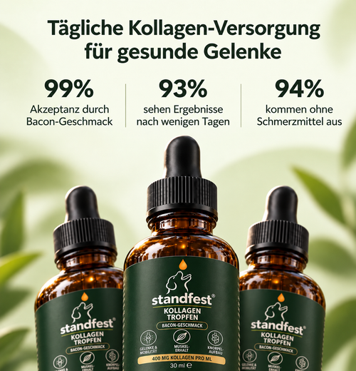 standfest Kollagen-Tropfen